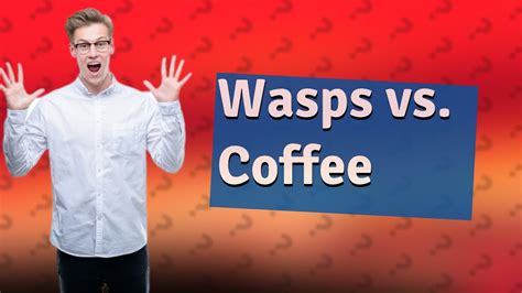 Do wasps hate coffee?