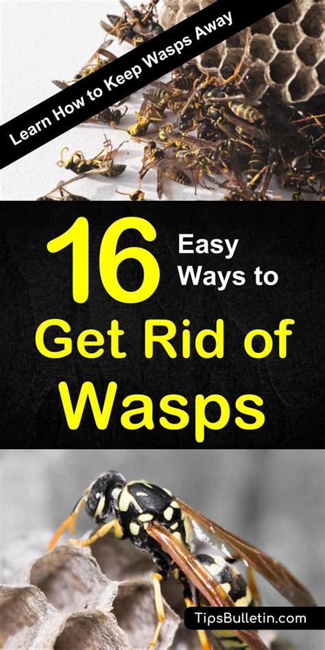 Do wasps hate lemon?