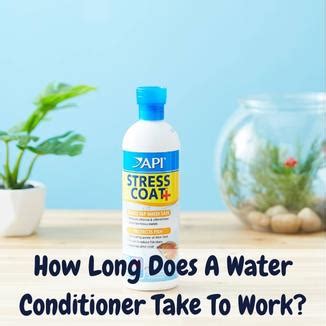 Do water conditioners actually work?