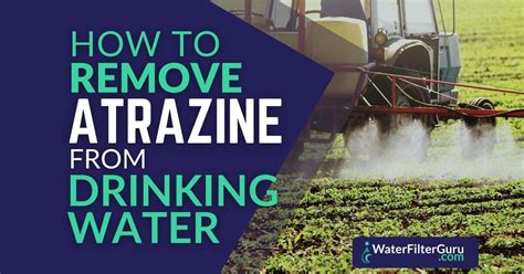 Do water filters remove atrazine?
