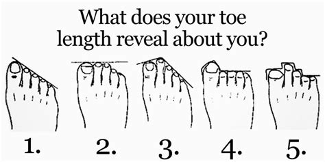 Do we have 2 toes?
