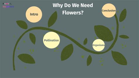 Do we need flowers?