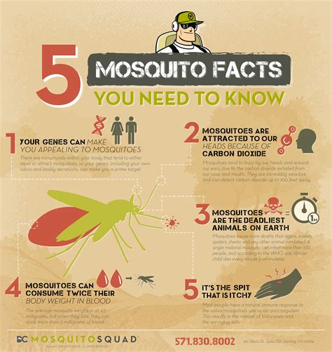 Do we need mosquitoes?
