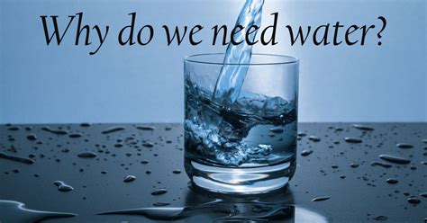 Do we need water?