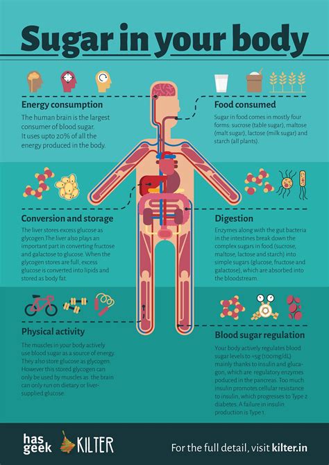 Do we really need sugar?