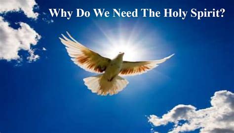 Do we really need the Holy Spirit?
