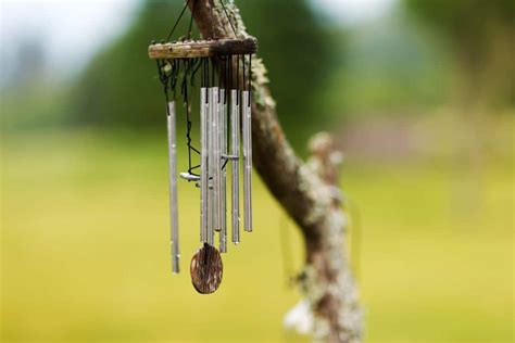 Do wind chimes keep birds away from windows?