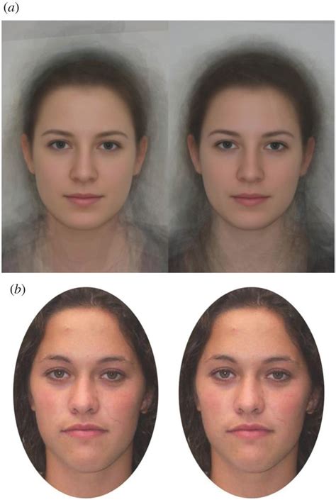Do women's faces change during ovulation?