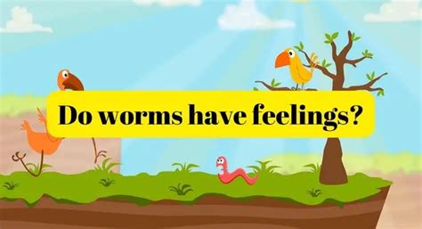 Do worms have emotions?