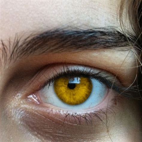 Do yellow eyes exist?