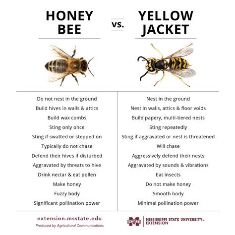 Do yellow jackets make honey?