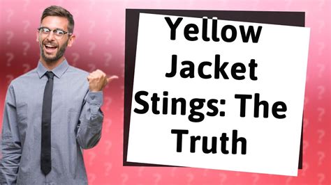 Do yellow jackets sting for fun?