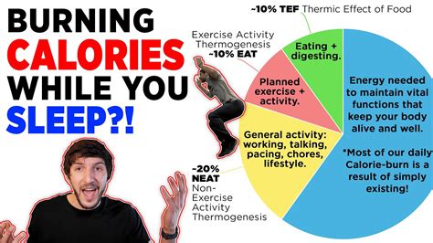 Do you burn calories studying?