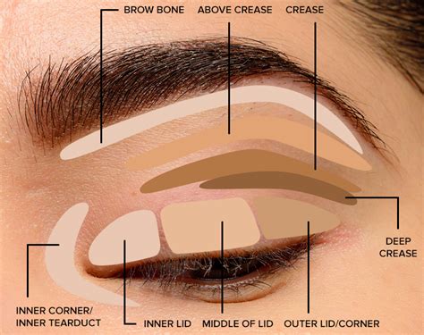 Do you do eyeshadow or eyebrows first?