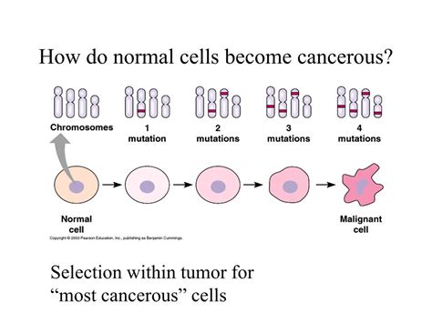 Do you ever become cancer free?