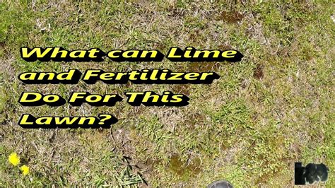 Do you fertilize or lime first?