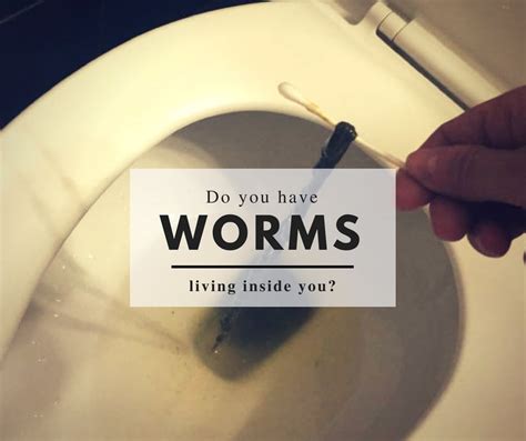 Do you have to wash everything if you have worms?