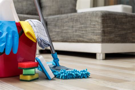 Do you like to clean your home?