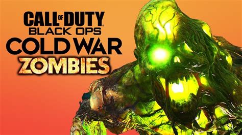 Do you need multiplayer to play Zombies Cold War?