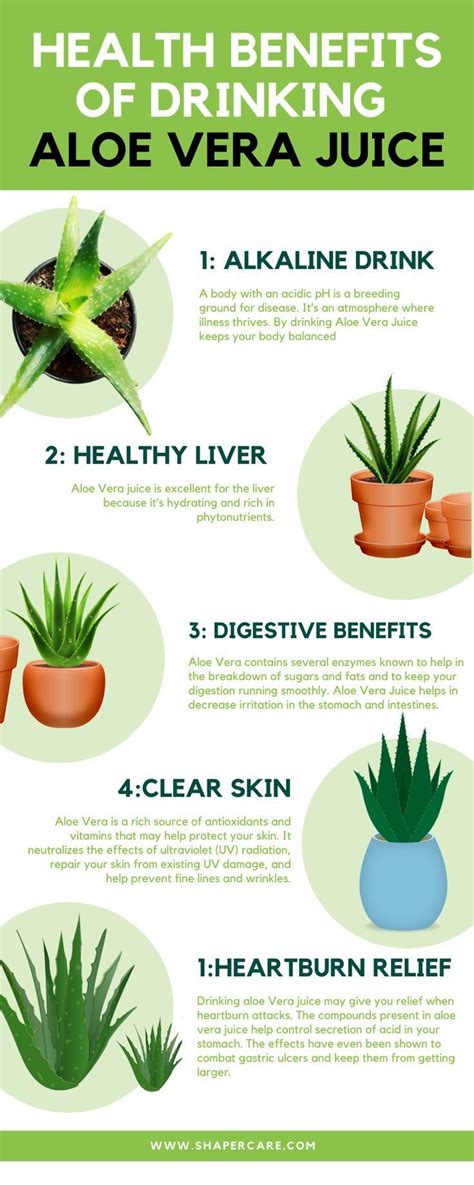 Do you need to soak aloe vera before using?