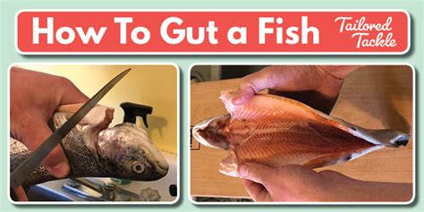 Do you need to wash fish after filleting?