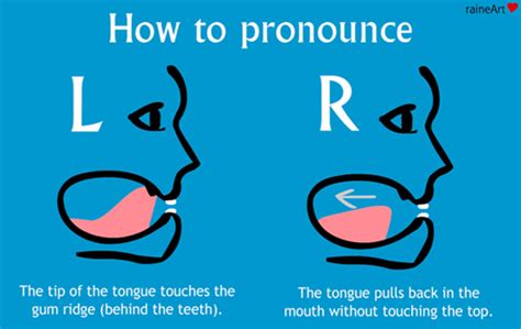 Do you pronounce the L in yolk?