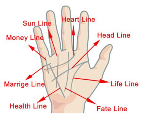 Do you read left or right palm?