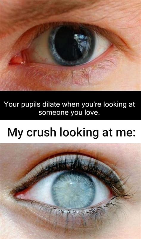 Do your pupils get bigger when you love someone?