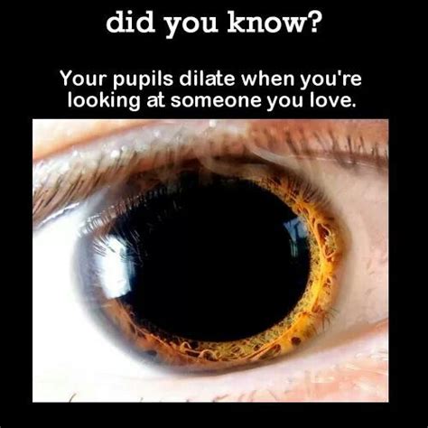 Do your pupils get smaller when you see someone you love?