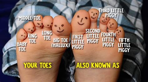 Do your toes have names?