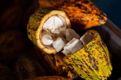 Does 100% cacao exist?