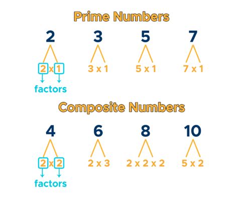 Does 7 only have 2 factors?