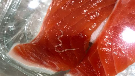 Does 75% of salmon have parasites?