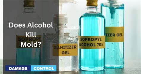 Does 90% isopropyl alcohol kill mold?