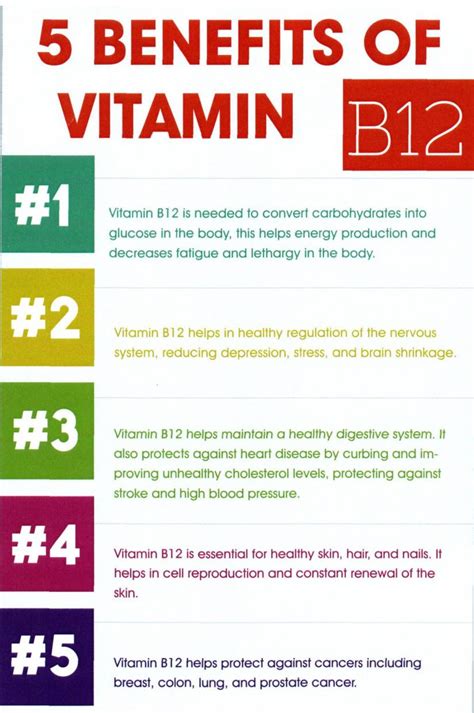 Does B12 build muscle?