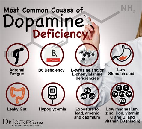 Does B6 lower dopamine?