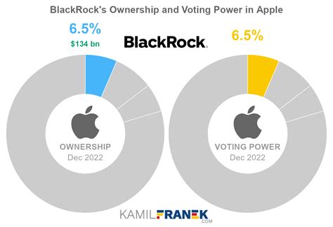 Does BlackRock own Apple?