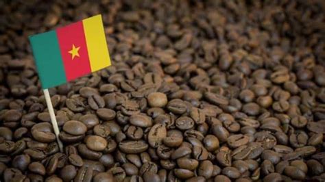 Does Cameroon have coffee?