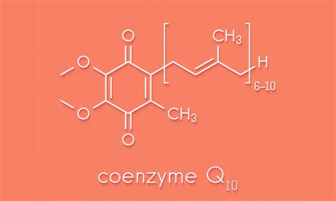 Does CoQ10 increase testosterone?