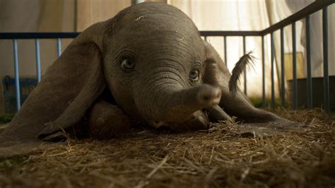 Does Dumbo have a real name?