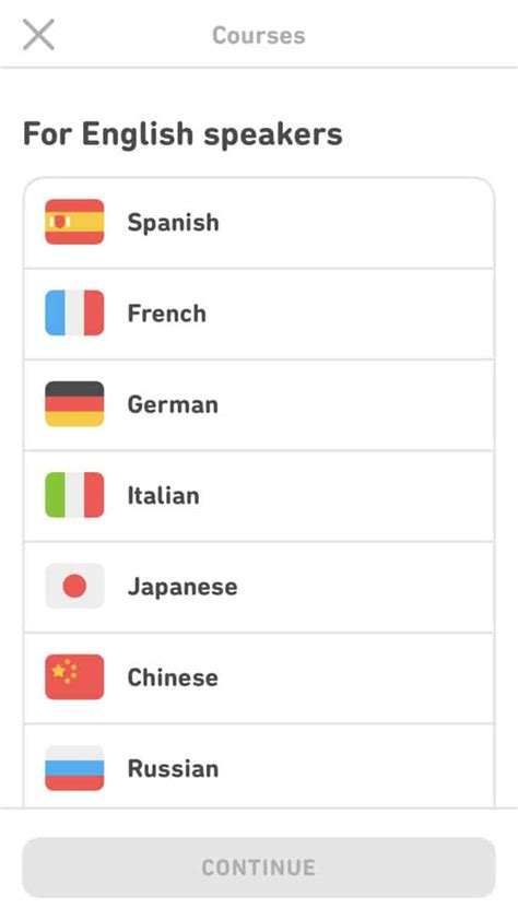 Does Duolingo have grammar?