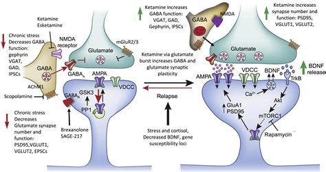 Does GABA help with depression?