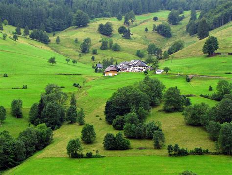 Does Germany have a Black Forest?