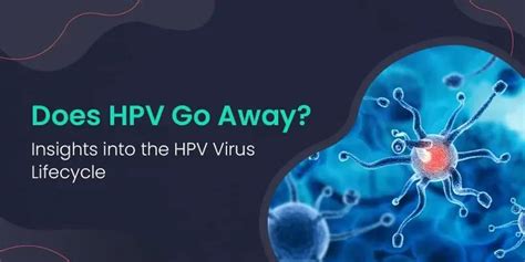 Does HPV 52 go away?