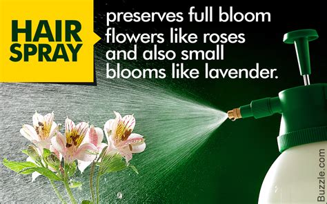 Does Hairspray preserve flowers?