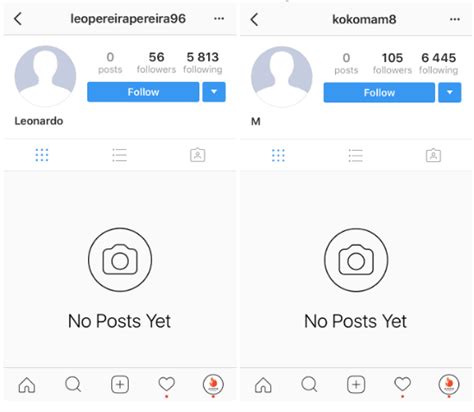 Does Instagram clean fake followers?