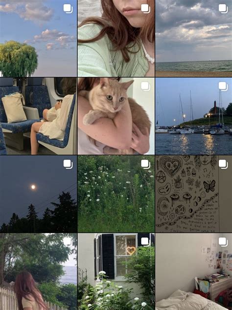 Does Instagram show from camera roll?