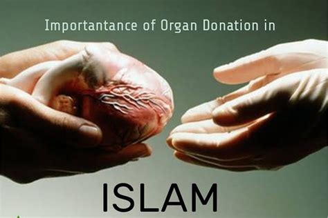 Does Islam allow organ donation?