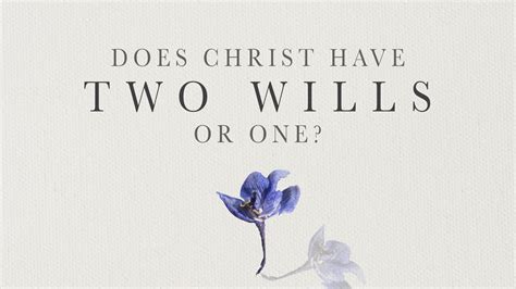 Does Jesus have 2 wills?