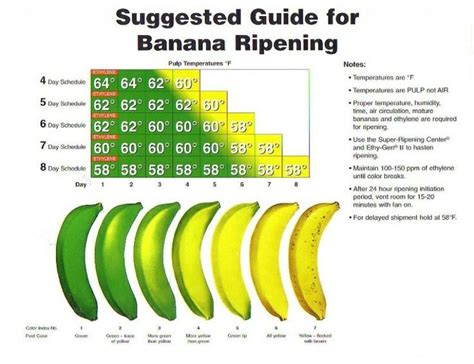 Does LED light ripen bananas?